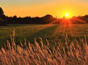 День святого Илии 2024 – запреты, традиции