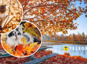 Погода восени