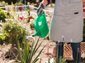 Всі рослини потребують поливів