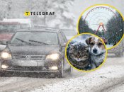 Погода в Харькове