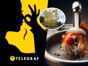 Чому вода у Києві смердить рибою