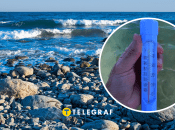 Коллаж "Телеграфа"