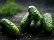 На украинском рынке сохраняется тенденция снижения цен на огурцы