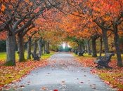 Иллюстративное фото