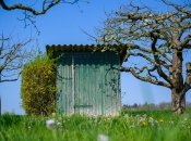 Жодного запаху в дачному туалеті не буде