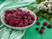 Малина виросте величезною