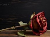 Речі з "мертвою енергетикою" не варто тримати вдома