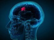 Заболевание