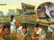 Трипольская культура