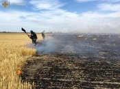 Кроме того, россияне еще и обстреливают урожай.