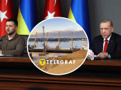 Владимир Зеленский и Реджеп Тайип Эрдоган