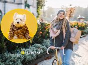 Последний месяц весны начнется с прохлады