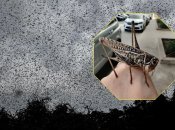 Коник з Одеси