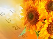 Календар свят та вихідних у липні 2022 року