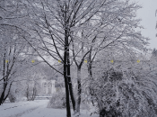 Львов засыпает снегом