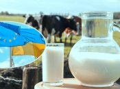 Украинские производители стремятся стать частью европейской бизнес-семьи