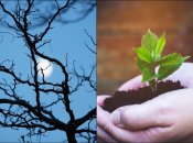 Есть два дня, когда ничего нельзя сажать и сеять в марте 2026