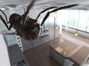 Мухам на кухне не место