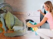 Лавровый лист отличный помощник не только на кухне