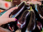 Баклажанами нужно заниматься еще из зимы