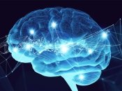 Ученые решили дать компьютеру "живые" мозги: что из этого получилось