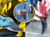 Благодаря этому совету можно сэкономить бюджет