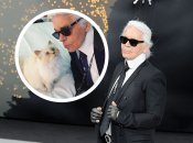 Карл Лагерфельд мав кішку, яку звати Шупетт