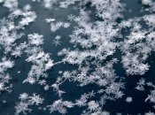 Декабрь начнется со снега