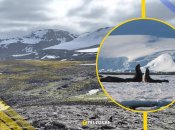 Иллюстративные фото