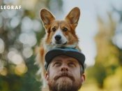 Не переборщите с нежностью, если видите, что это не нравится вашему любимцу. (фото создано с помощью ИИ)