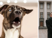 Брагар советовал пенсионерке продать собаку для оплаты коммуналки