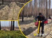 Иллюстративное изображение