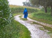 Над містами нависли грозові хмари