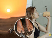 Эти методы проверены временем