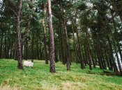 Яке сьогодні церковне свято — День святого Симеона Стовпника