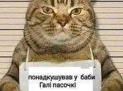 Великдень — свято, в яке жінки міряються яйцями… у соцмережах: прикольні жарти, меми, які піднімуть настрій всім