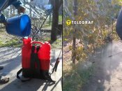 Біозахист саду та виноградника восени — що треба зробити, коли і як