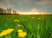 Узнайте, какой сегодня церковный праздник, главные запреты и приметы этого дня