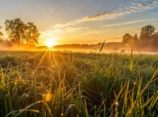 День літнього сонцестояння 21 червня 2025 року