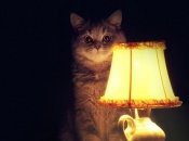 Ілюстративне зображення