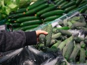 У каких культур нельзя сажать огурцы