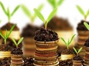 За время работы рынка земли продано менее 1% пахотных земель