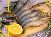 "Біжіть, поки ще є": у "Сільпо" мегазнижка на королівські креветки, сотні гривень економії