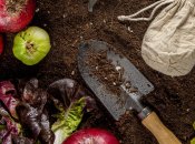 Соль Эпсома полезна для земли