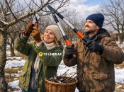 Весняна обрізка — важливий етап догляду за садом