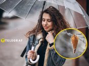 Погода в Украине в октябре