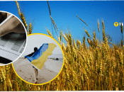 Результати соціологічного опитування