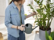 Какой дренаж спасет ваши растения