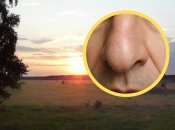 Село Ноздрище