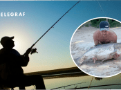 На Харківщині чоловік піймав товстолобика на 27 кг